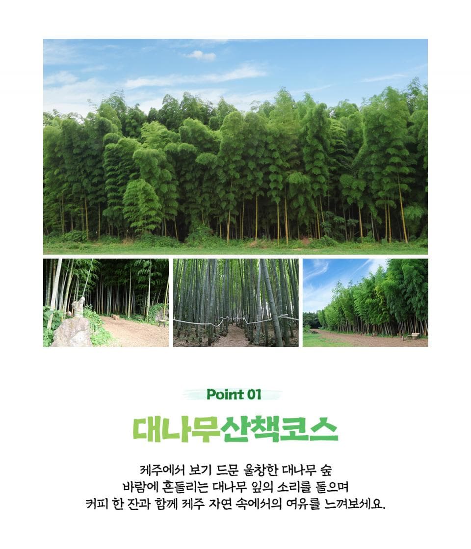 대한목장 아메리카노 2잔+쿠키 2개 (~12/31) 이용 안내 4