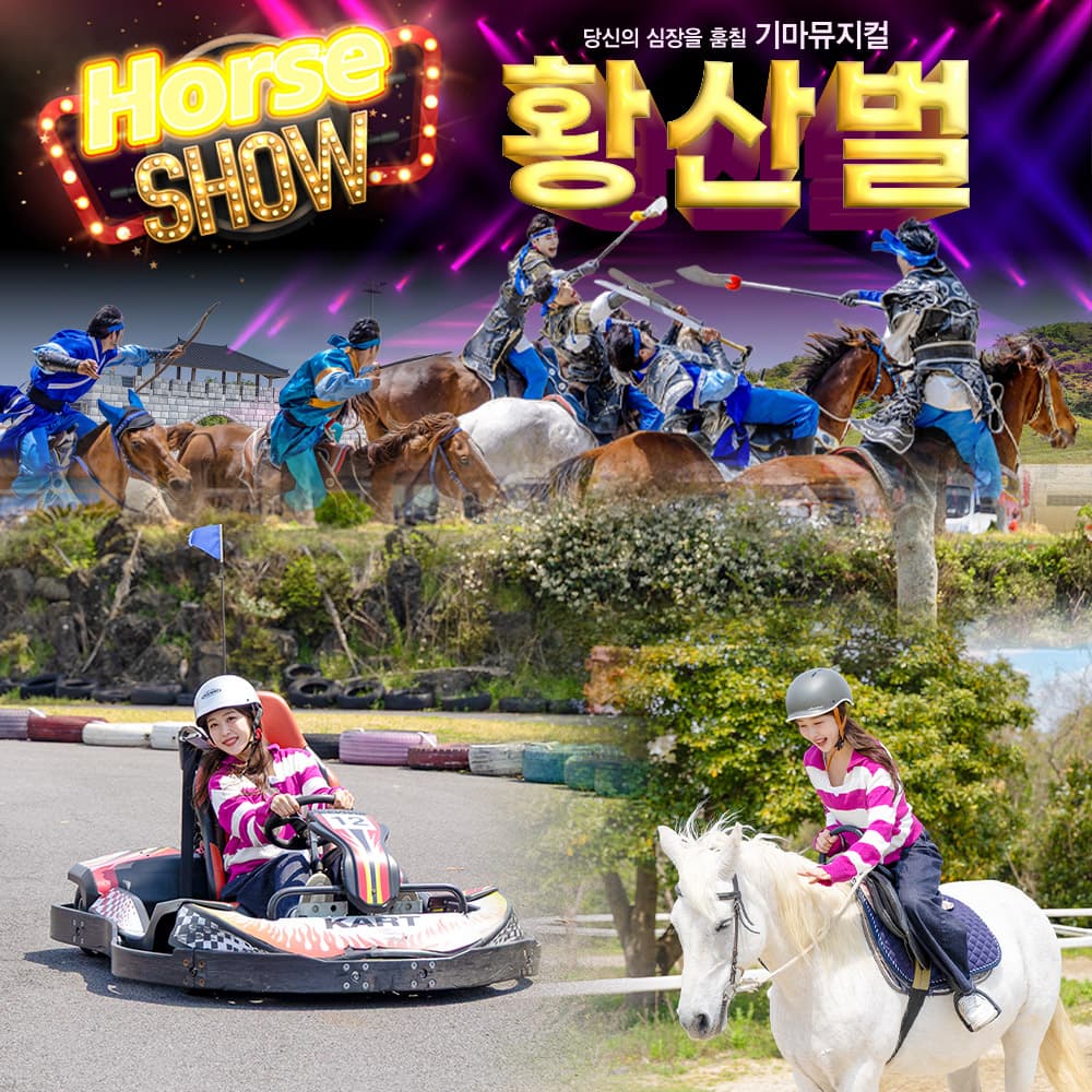 더마파크 공연 입장권 및 체험권